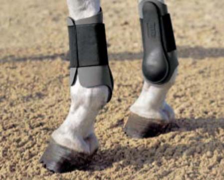 Neoprene tendon horse boots hind
