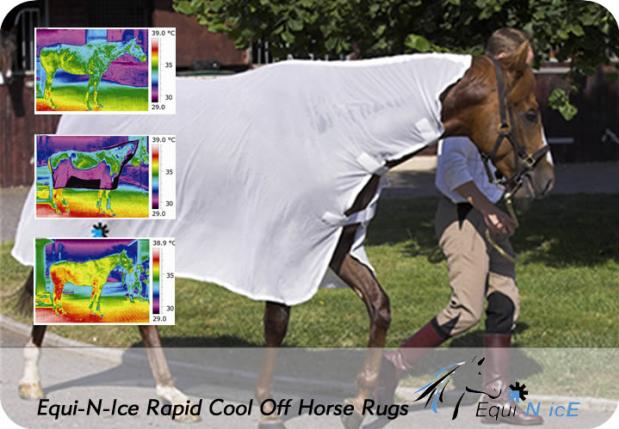 Rapid cool off horse rugs