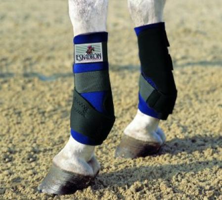 Horse boots, Training tendon boots front - Pro Active 11