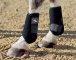 Tendon Boots - Pro Dressage pony boots - hind